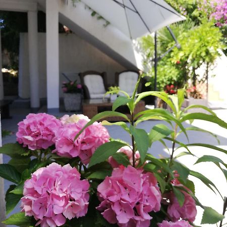 Apartments Poretti For 2,In Center Parking Free In The Yard,6 Min Beach Walk Rovinj Exterior photo