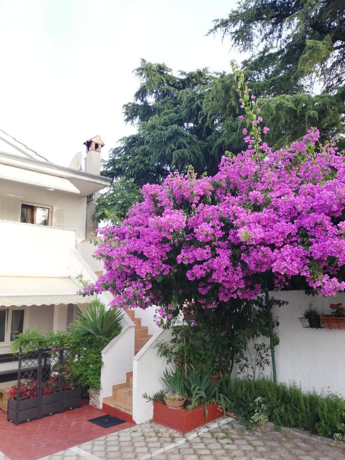 Apartments Poretti For 2,In Center Parking Free In The Yard,6 Min Beach Walk Rovinj Exterior photo