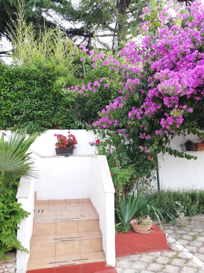 Apartments Poretti For 2,In Center Parking Free In The Yard,6 Min Beach Walk Rovinj Exterior photo