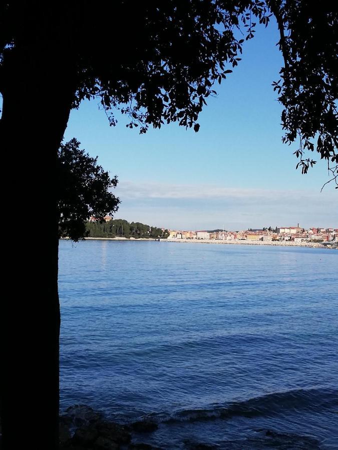 Apartments Poretti For 2,In Center Parking Free In The Yard,6 Min Beach Walk Rovinj Exterior photo