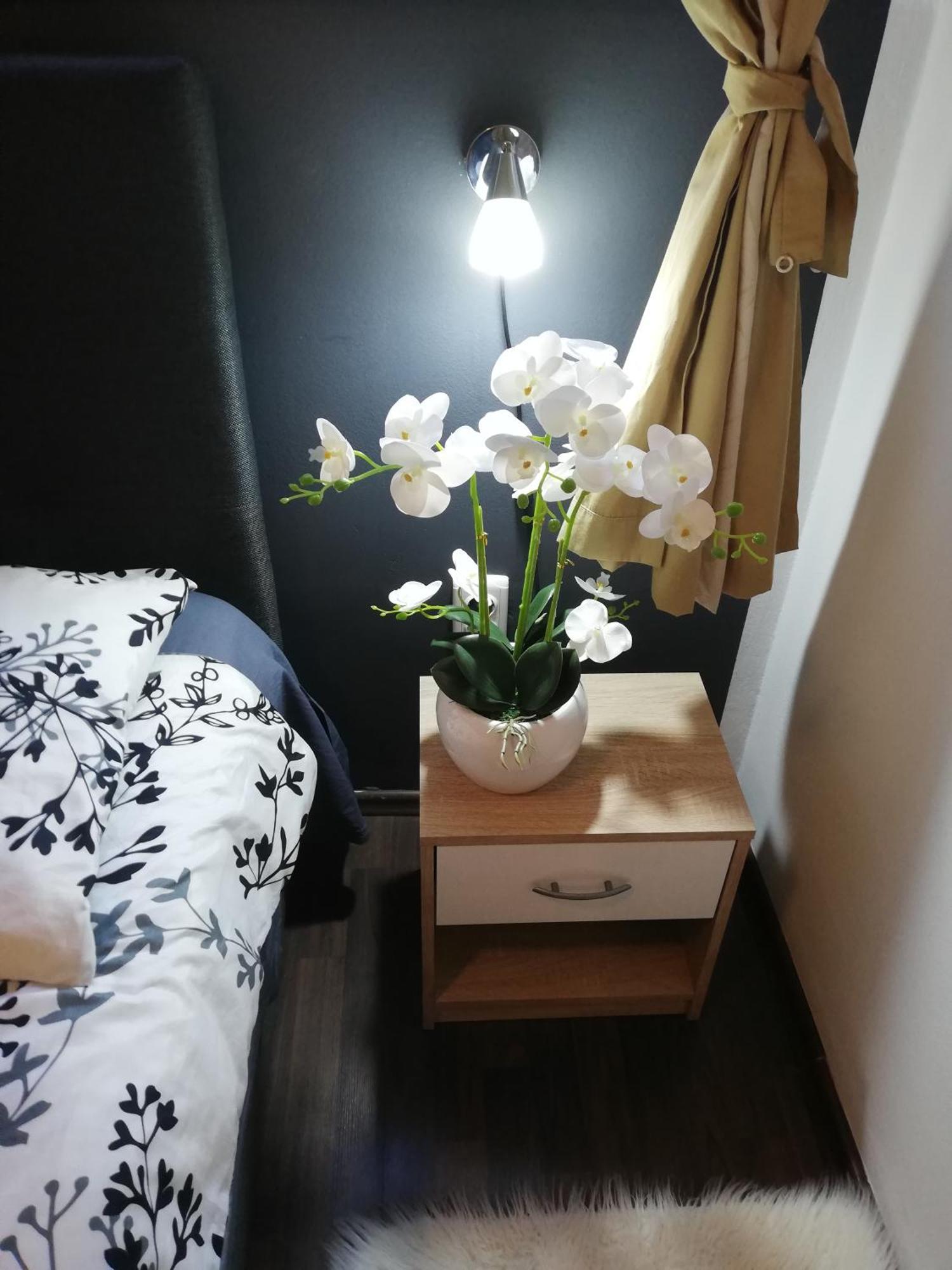 Apartments Poretti For 2,In Center Parking Free In The Yard,6 Min Beach Walk Rovinj Exterior photo