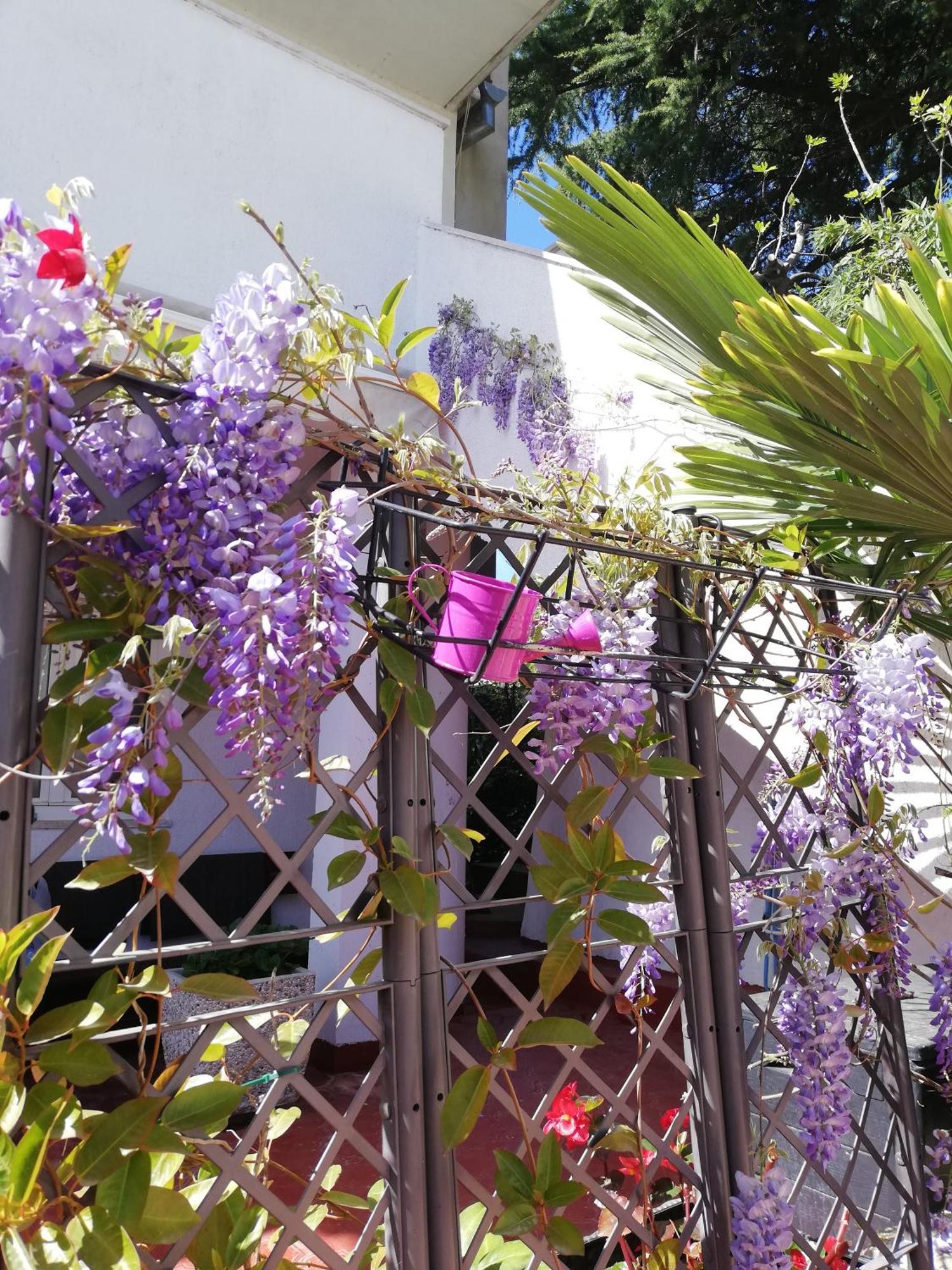 Apartments Poretti For 2,In Center Parking Free In The Yard,6 Min Beach Walk Rovinj Exterior photo