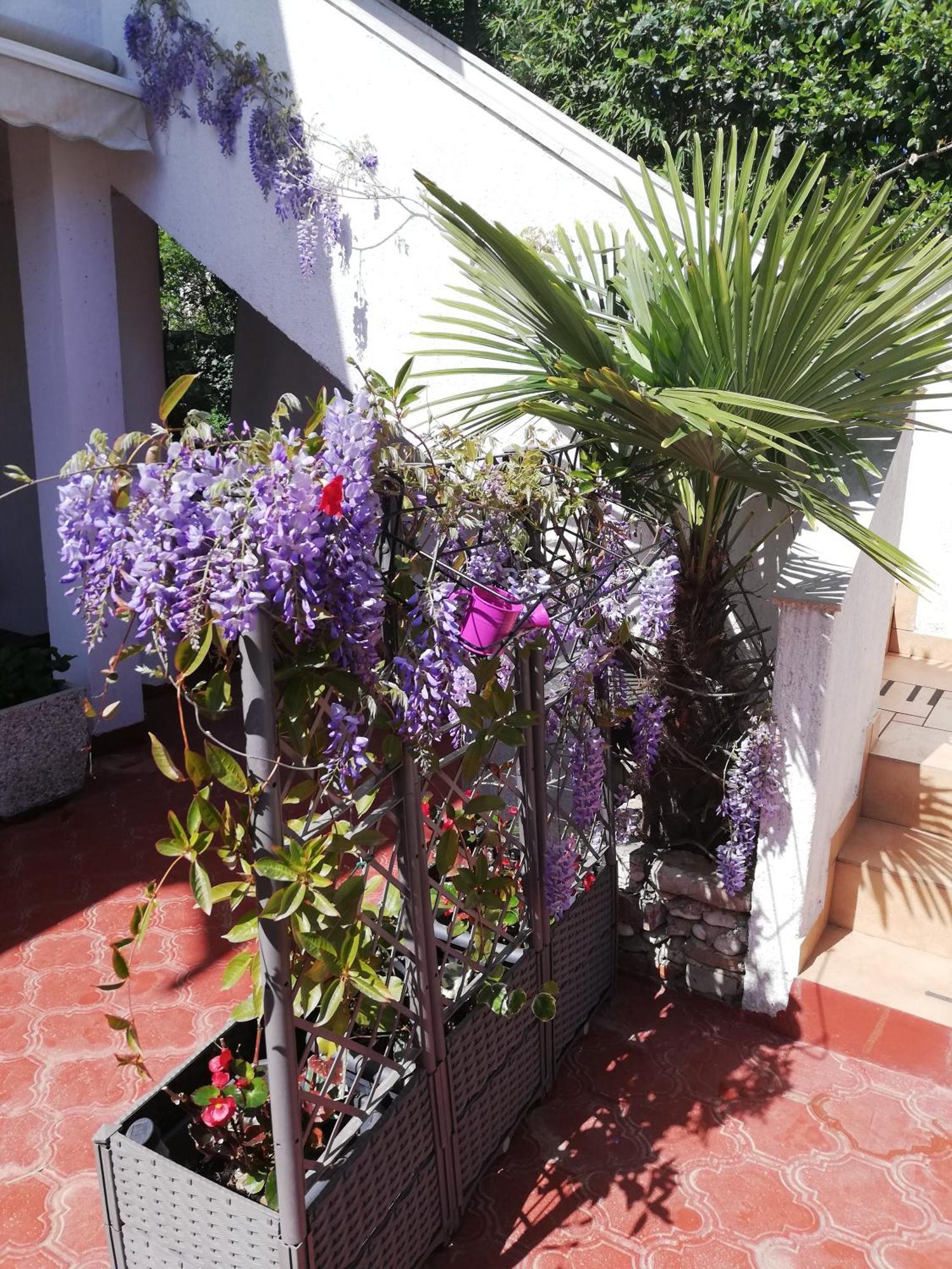 Apartments Poretti For 2,In Center Parking Free In The Yard,6 Min Beach Walk Rovinj Exterior photo