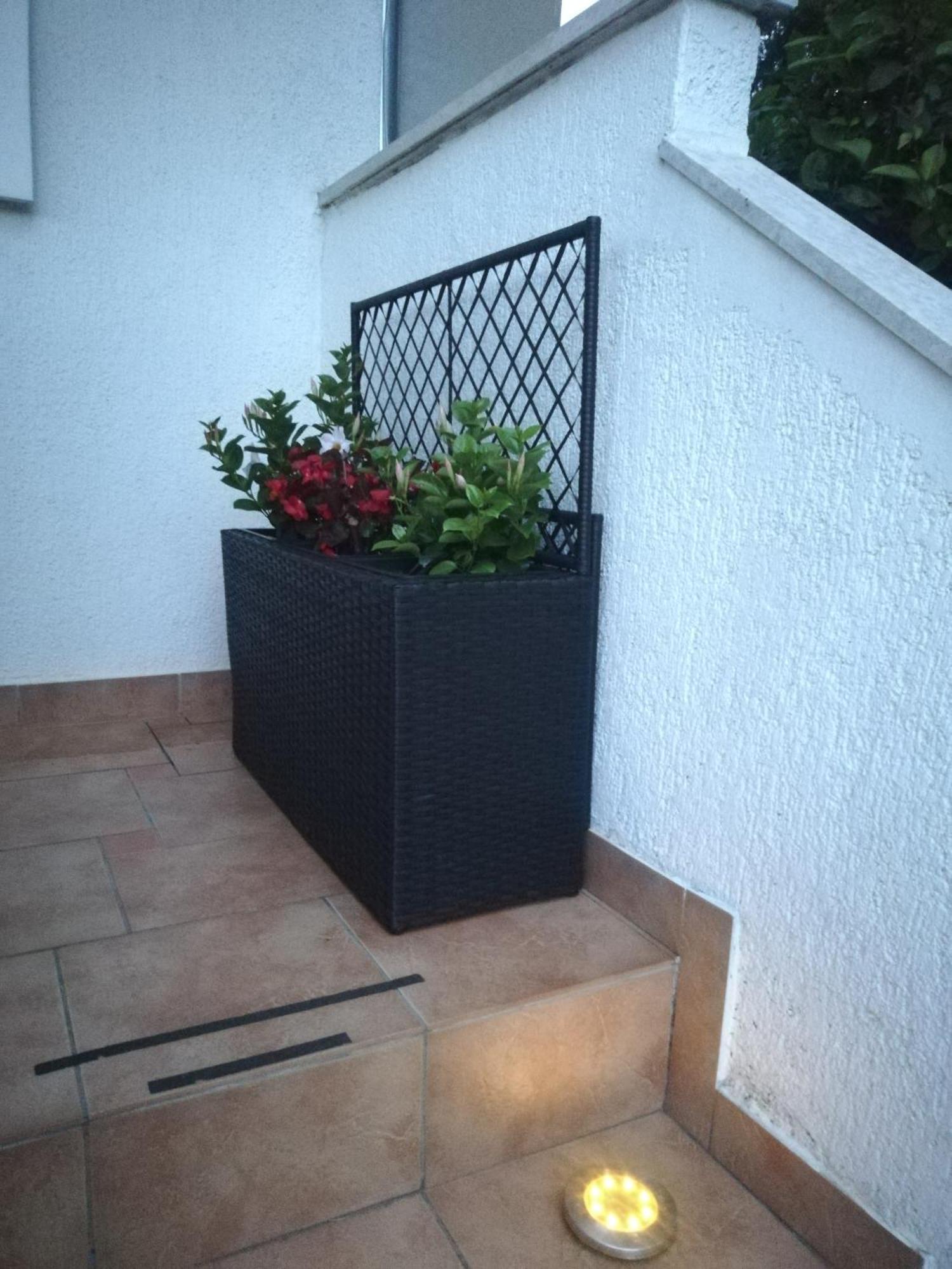 Apartments Poretti For 2,In Center Parking Free In The Yard,6 Min Beach Walk Rovinj Exterior photo